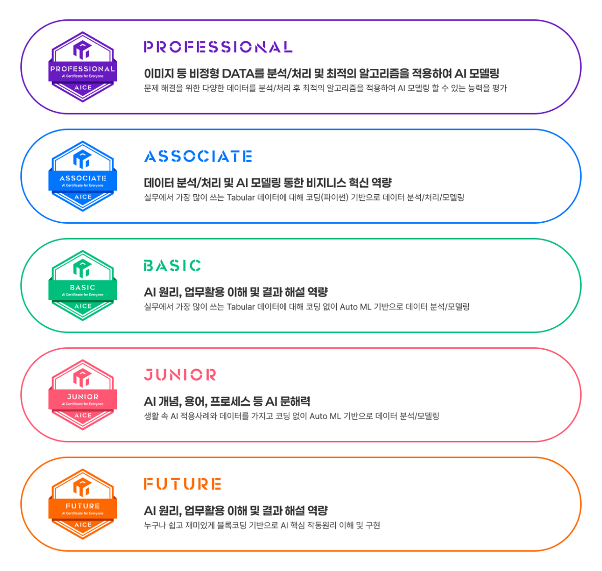 AICE 레벨별 시험 안내 — PROFESSIONAL · ASSOCIATE · BASIC · JUNIOR · FUTURE